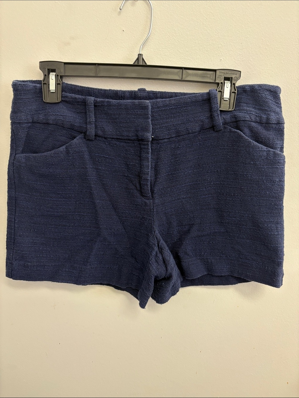 Ann Taylor Navy Textured Shorts